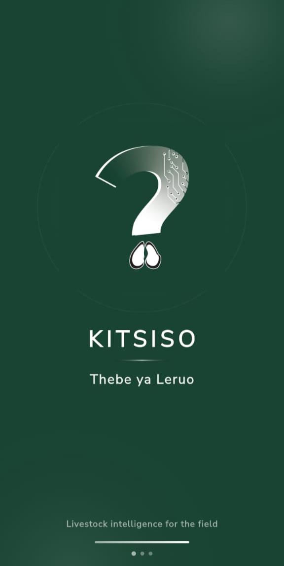 Kitsiso App Splash Screen
